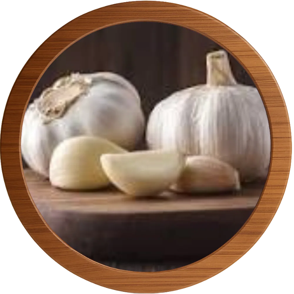 GARLIC