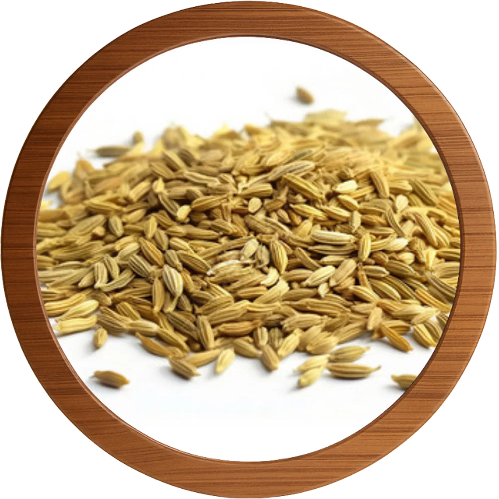 FENNEL
