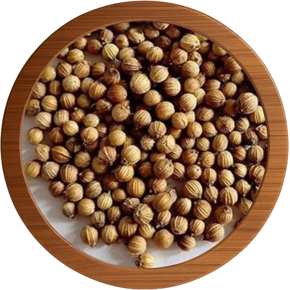CORIANDER
