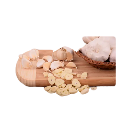 garlic supplier sourcing and inquiry page
