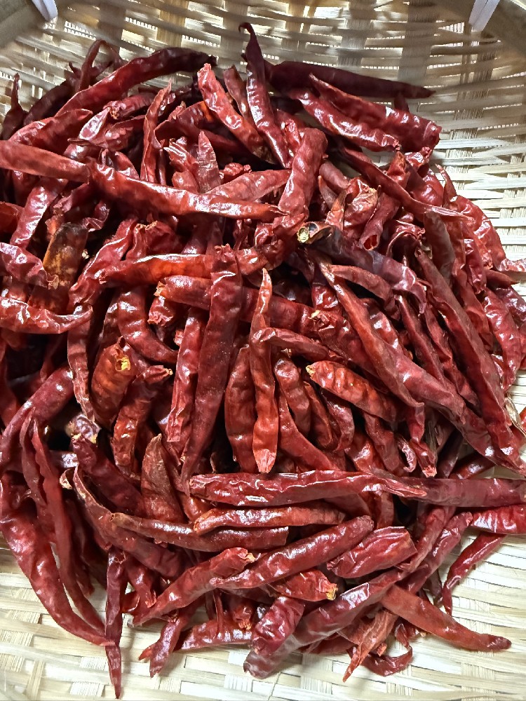 Global Dried Chili Export Market: Trade Trends and Supply Dynamics