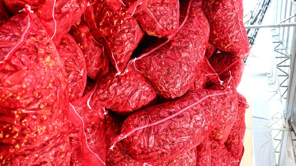 Feb Export Success: SE Asia Demand for Chili Cuts Up 10%, Freight Drop Boosts Delivery