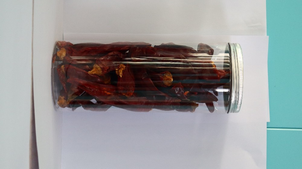 Sourcing Guide 2026: India S17 vs. China New Generation Price Trends & Steam Sterilization Benefits