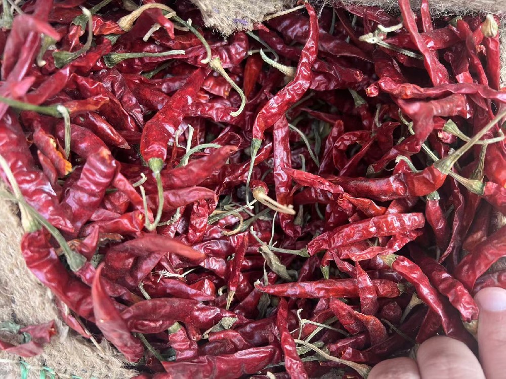 S17 Dried Chili for High-Heat Food Processing and Seasoning Production